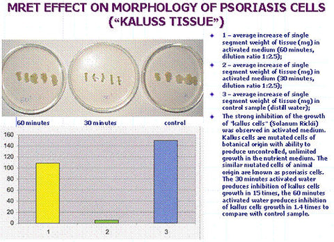 MRET Effect on Morphology of Psoriasis Cells