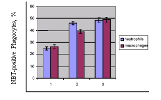 Phagocytic Index of neutrophils and macrophages in two weeks of experiment