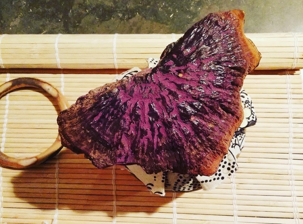 Wild Purple Reishi Extract