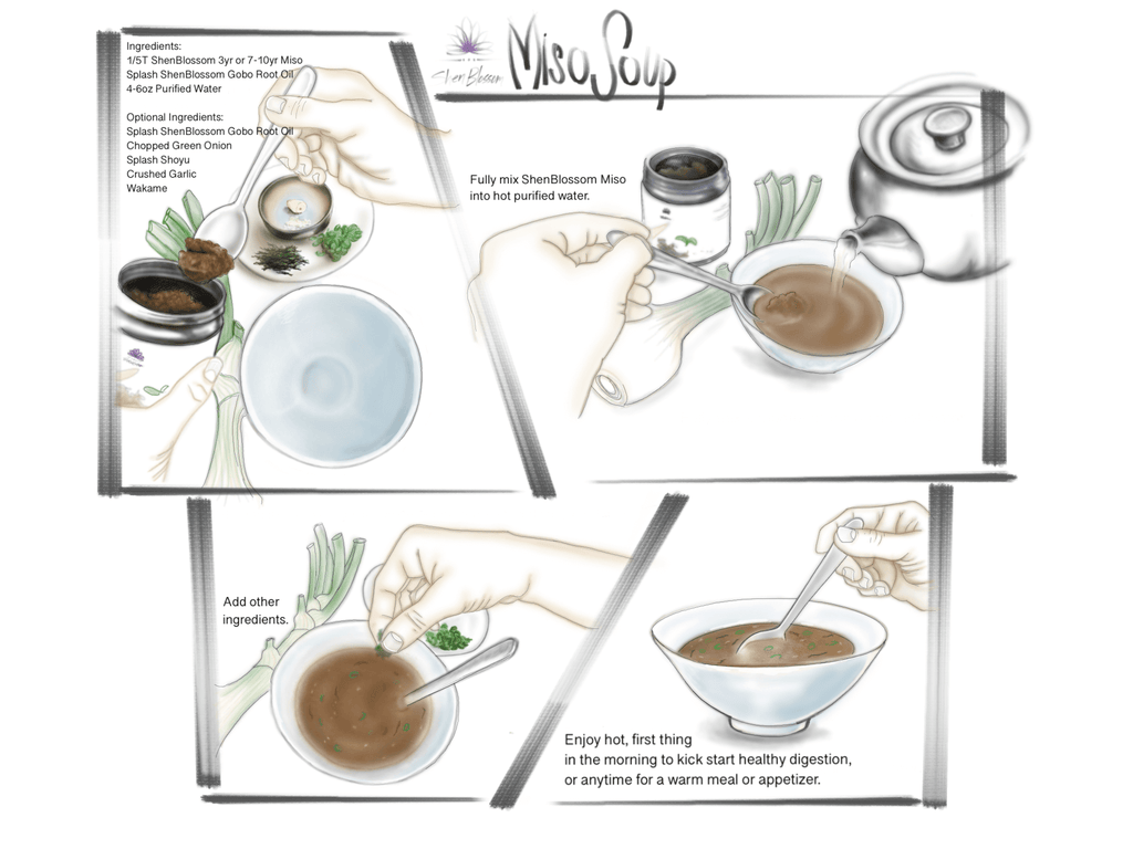 Miso Soup illustration