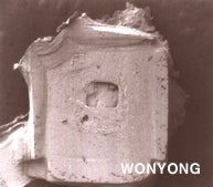 Electron microscope image of salt crystal