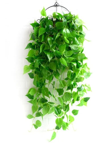 Plantas Artificiales Decorativas, Macetas Colgantes Interior – 15nas.com