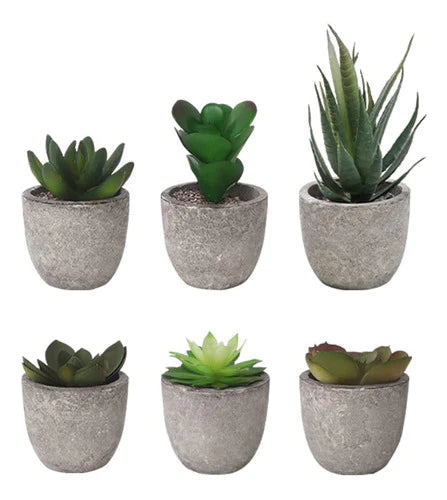 Plantas Suculentas Artificiales Maceta 6 Macetas – 15nas.com