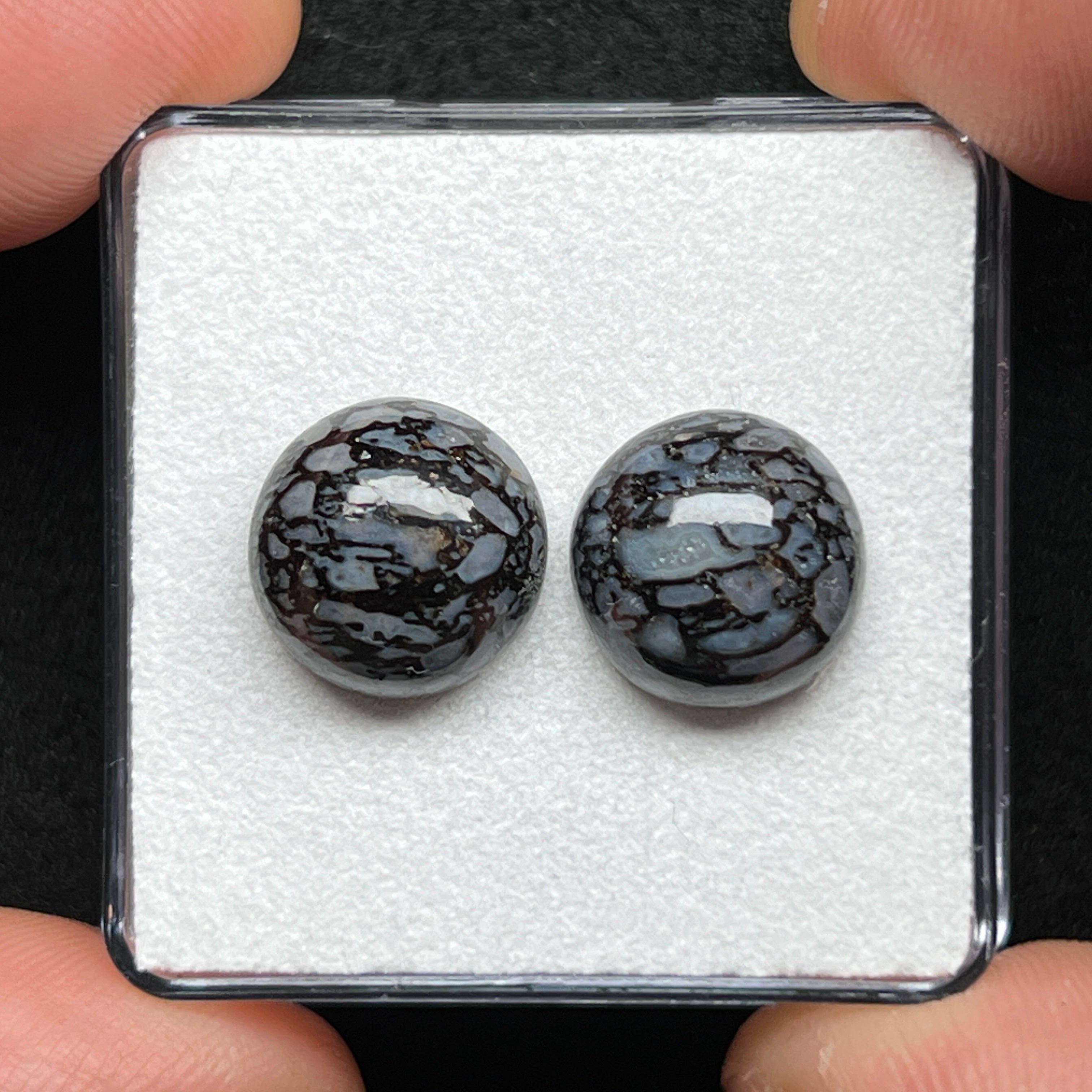 Fossilized Dinosaur Bone Cabochons