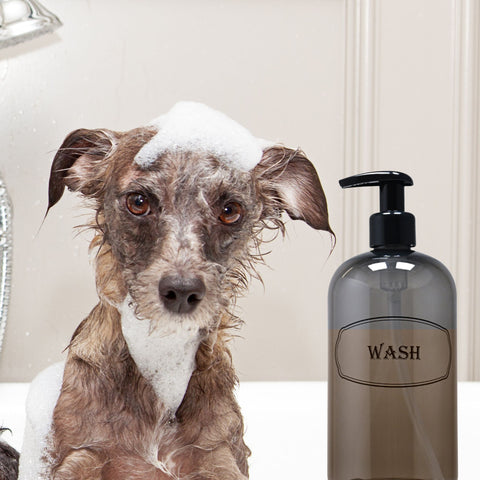 puppy in bath with refillable wash bottle filled with puppy shampoo