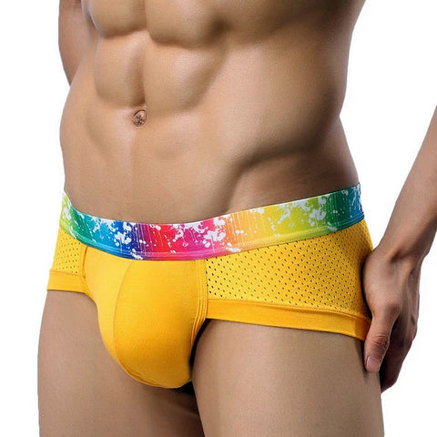 men's briefs