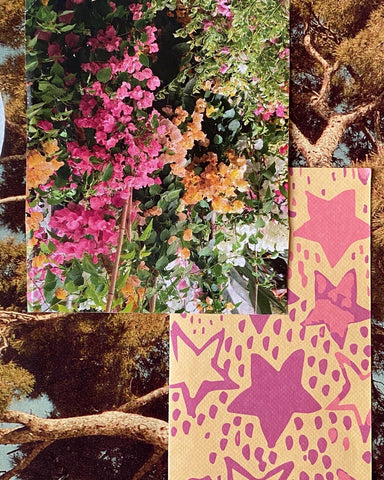 collage manual botánico
