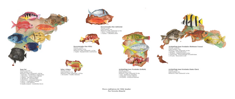 ilustración mappin.cl peces endémicos