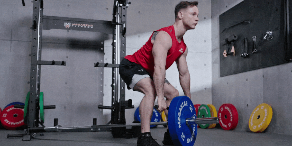 How beginners can be practical in Building Muscle