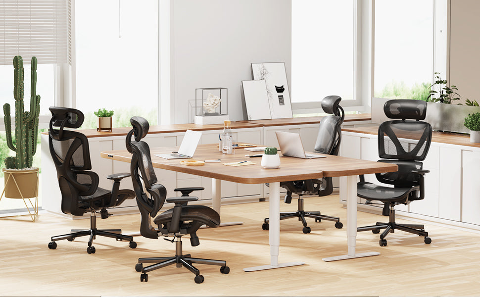 Ergonomic Office Chair with Lumbar Support Computer Chair – Noblewell  WebSite