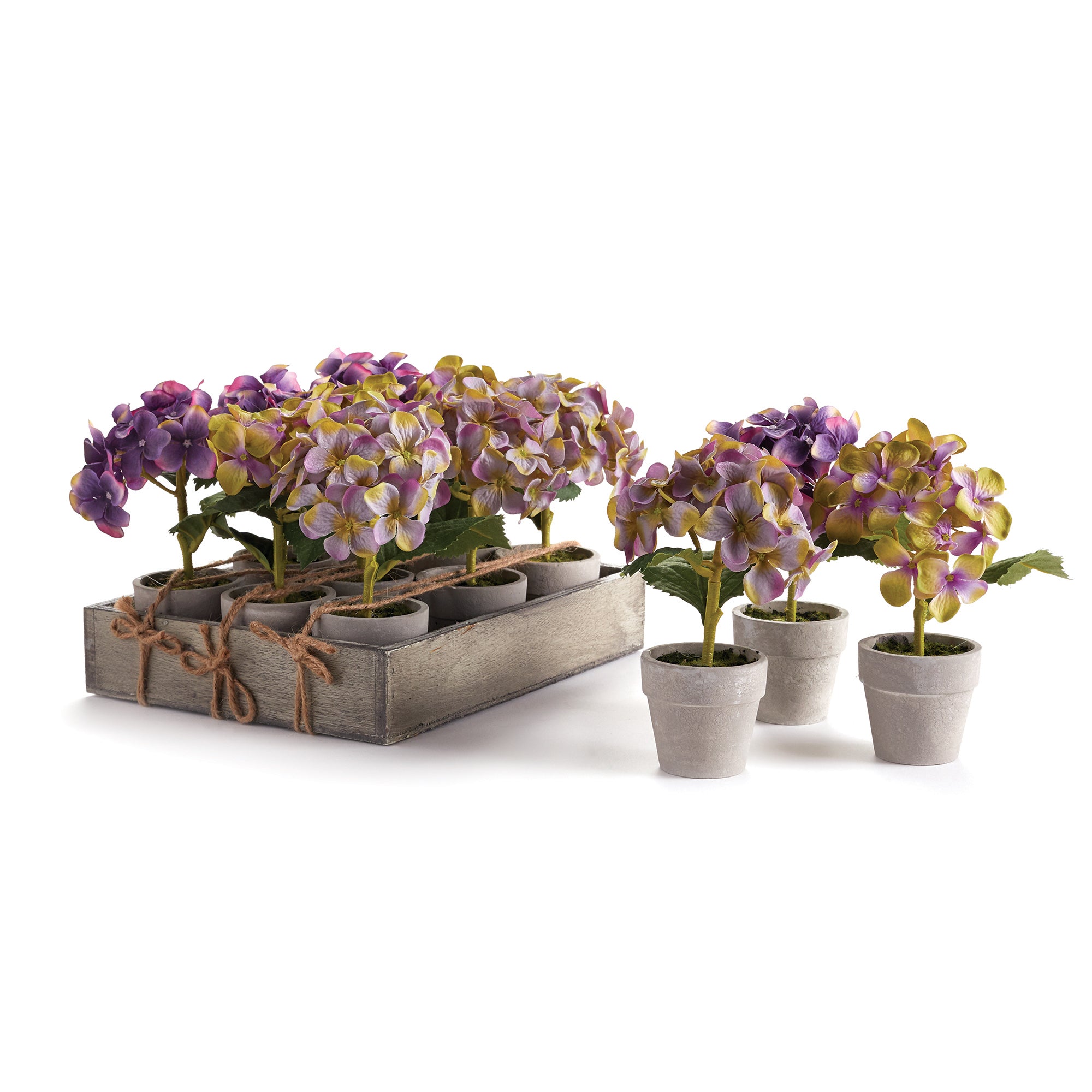 Design Shop Mini Hydrangea Potted 6.5", Set Of 12