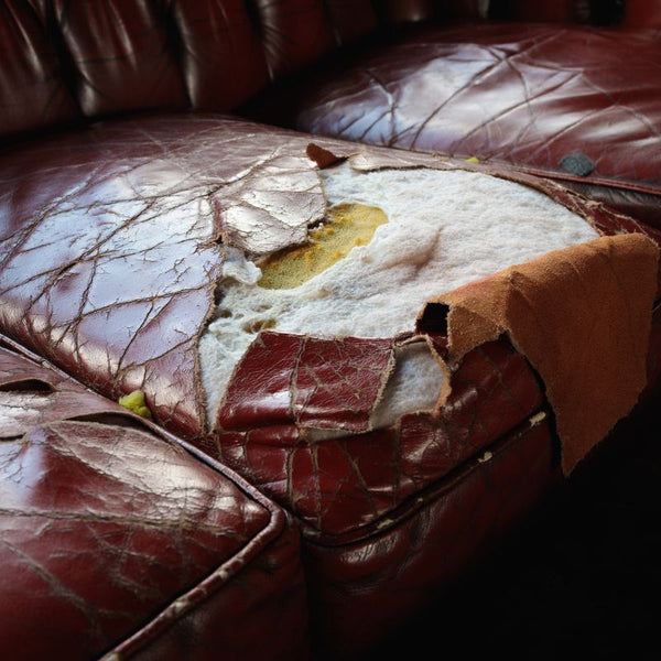 Old torn sofas (leather)