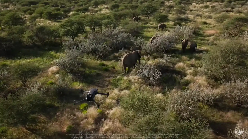 DJI Mavic Pro 3 drone taking video of elephants