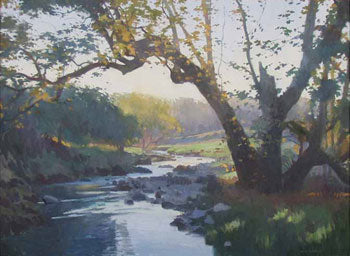 Ray Roberts, Sycamore Creek, Oil on Canvas, 30" x 40"
