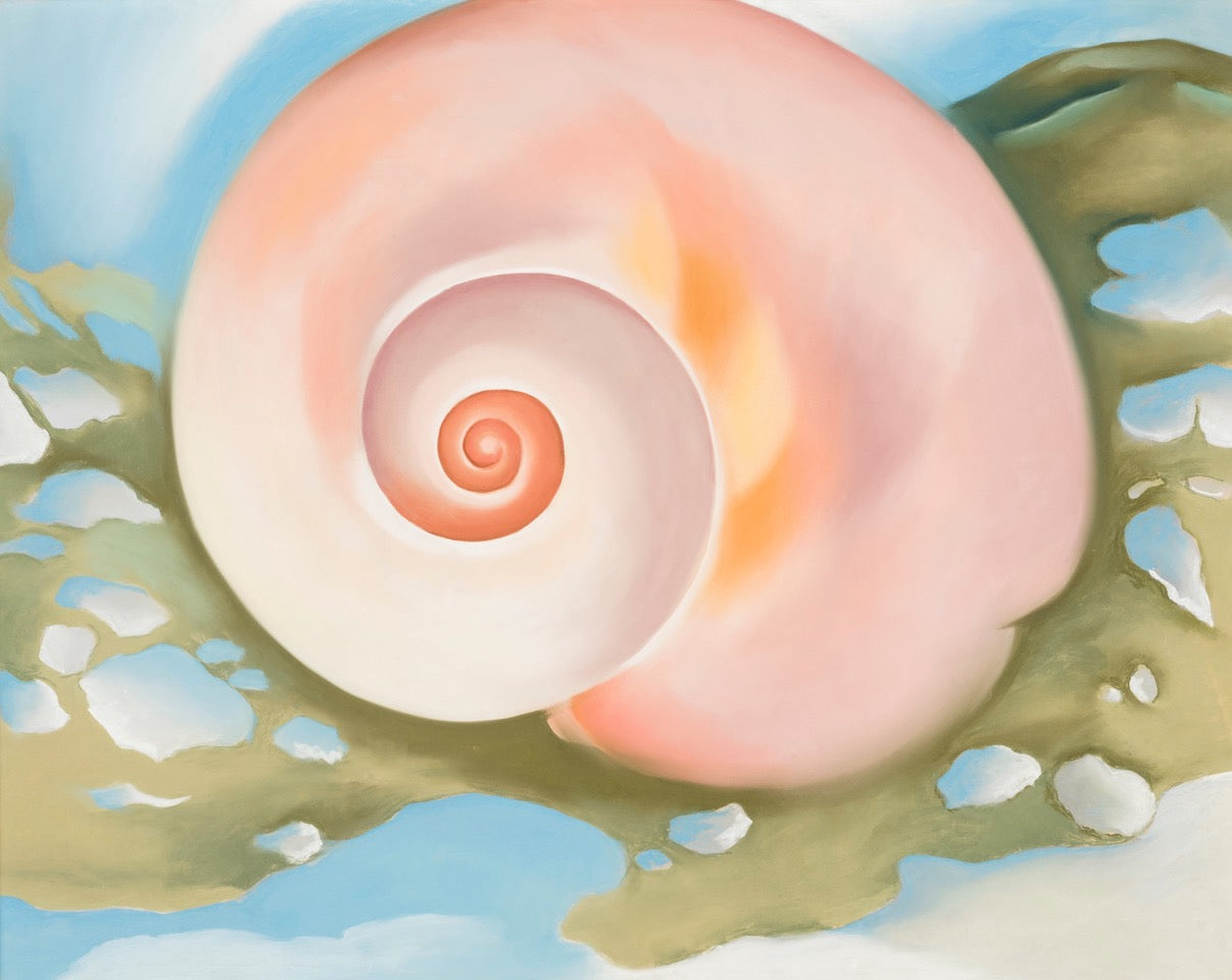 Georgia O'Keeffe, 'Pink Shell with Seaweed,' ca 1938. Pastel on board. The San Diego Museum of Art, gift of Mr. and Mrs. Norton S. Walbridge.