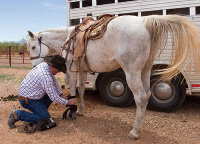 Fred is a consummate horseman.