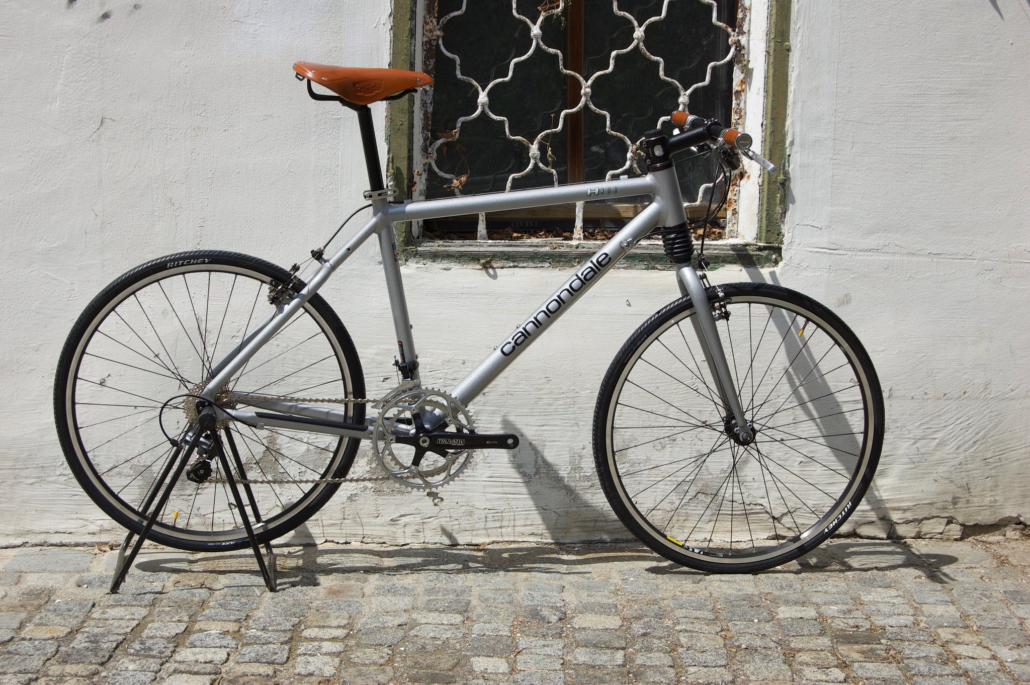 Evergreen and classic bike: Cannondale 