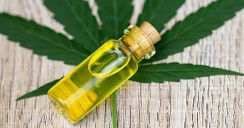 What is CBD Oil