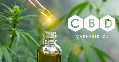 How does CBD Oil Work