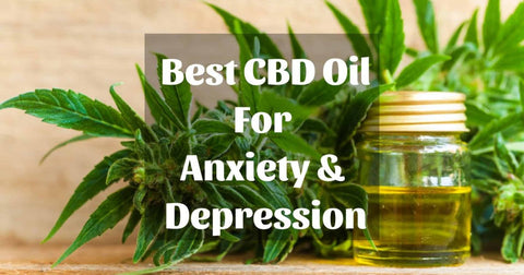Should you try the Best CBD Oil for Anxiety and Depressio