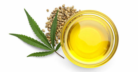 How to Use Gold Bee CBD Oil