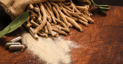 How to use Ashwagandha Powder benefits in Tamil