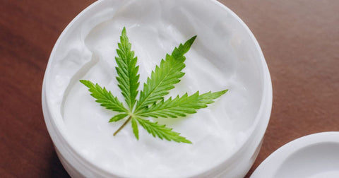 Where to Buy the Best CBD Cream for Pain