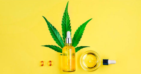 Why Choose Gold Bee CBD Oil