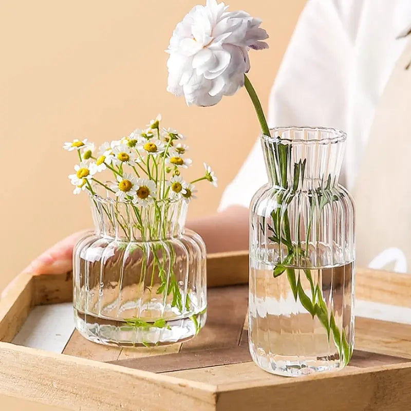 Minimalist Glass Vase Ins Style Creative Vase - DECOR MODISH