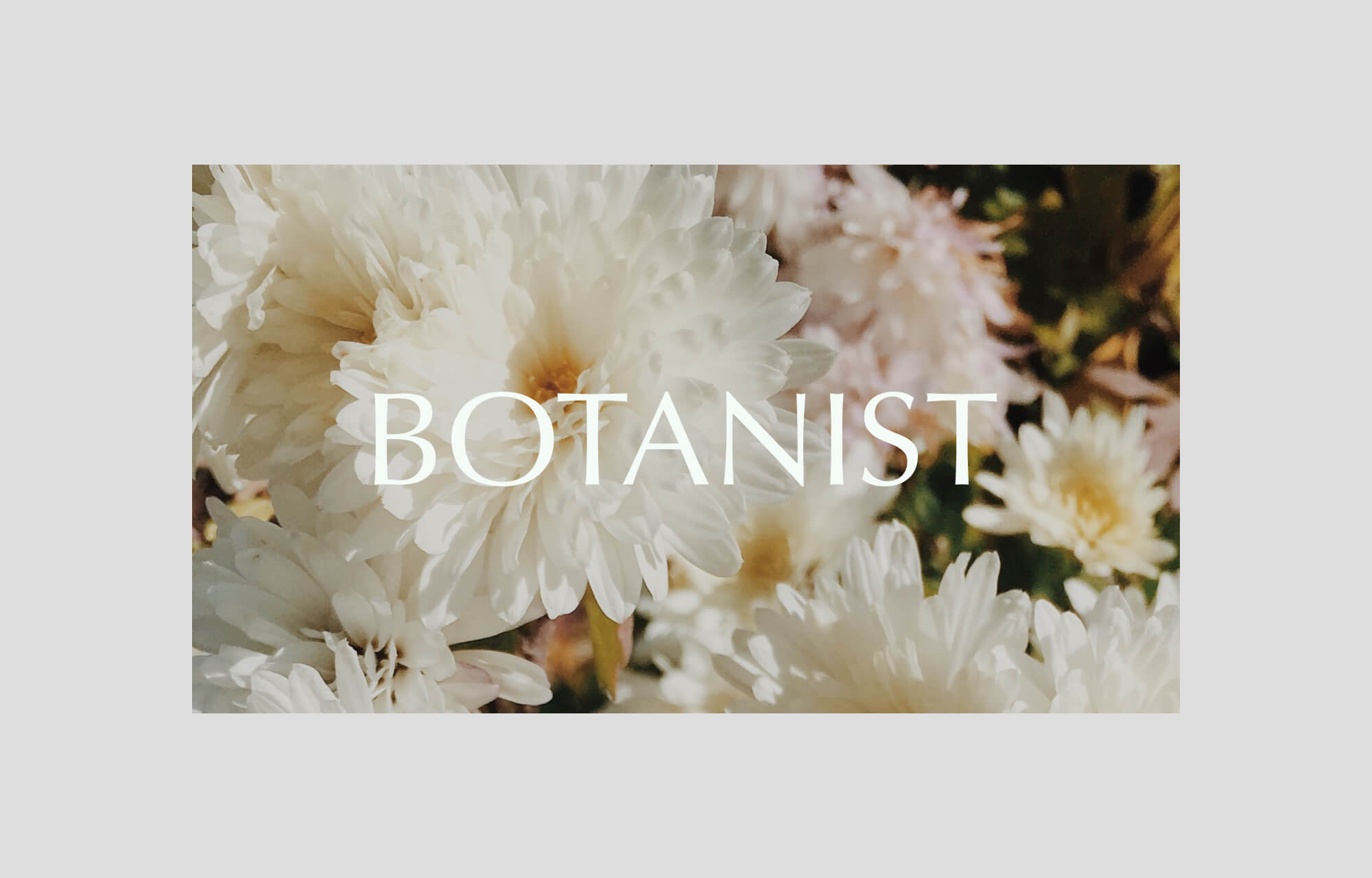 Botanist Main Logo
