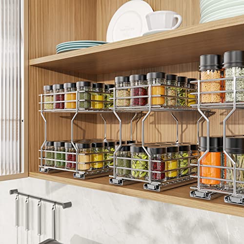 2-Tier Pull-Out Cabinet Organizer RB2 – Homeibro