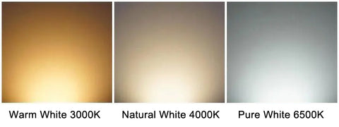 Alabaster light Color Temperature