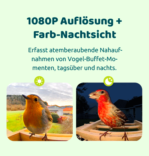 600-450_53.gif__PID:0ae52ac0-c05e-4dd6-8311-fb01c26d3186