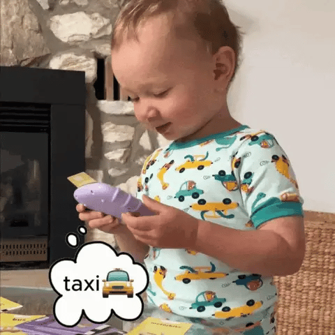 Talking Flash Cards Learning Funny Toy