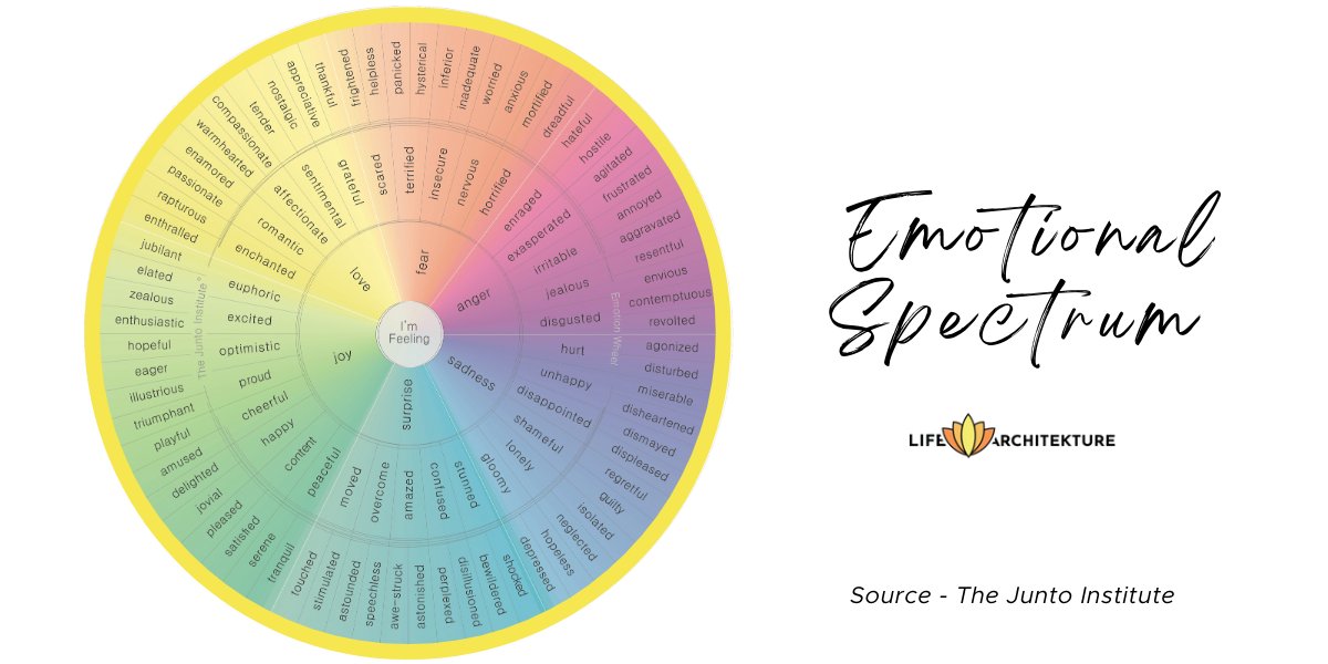 emotioneel spectrum wiel