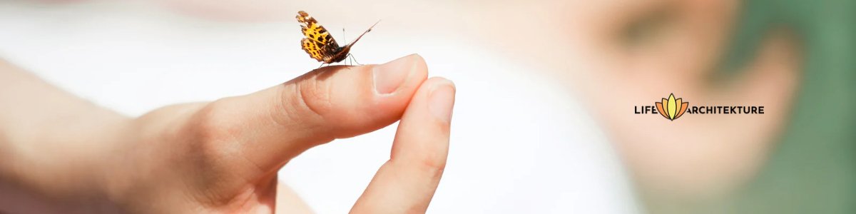 butterfly sitting on thumb of someone meditating