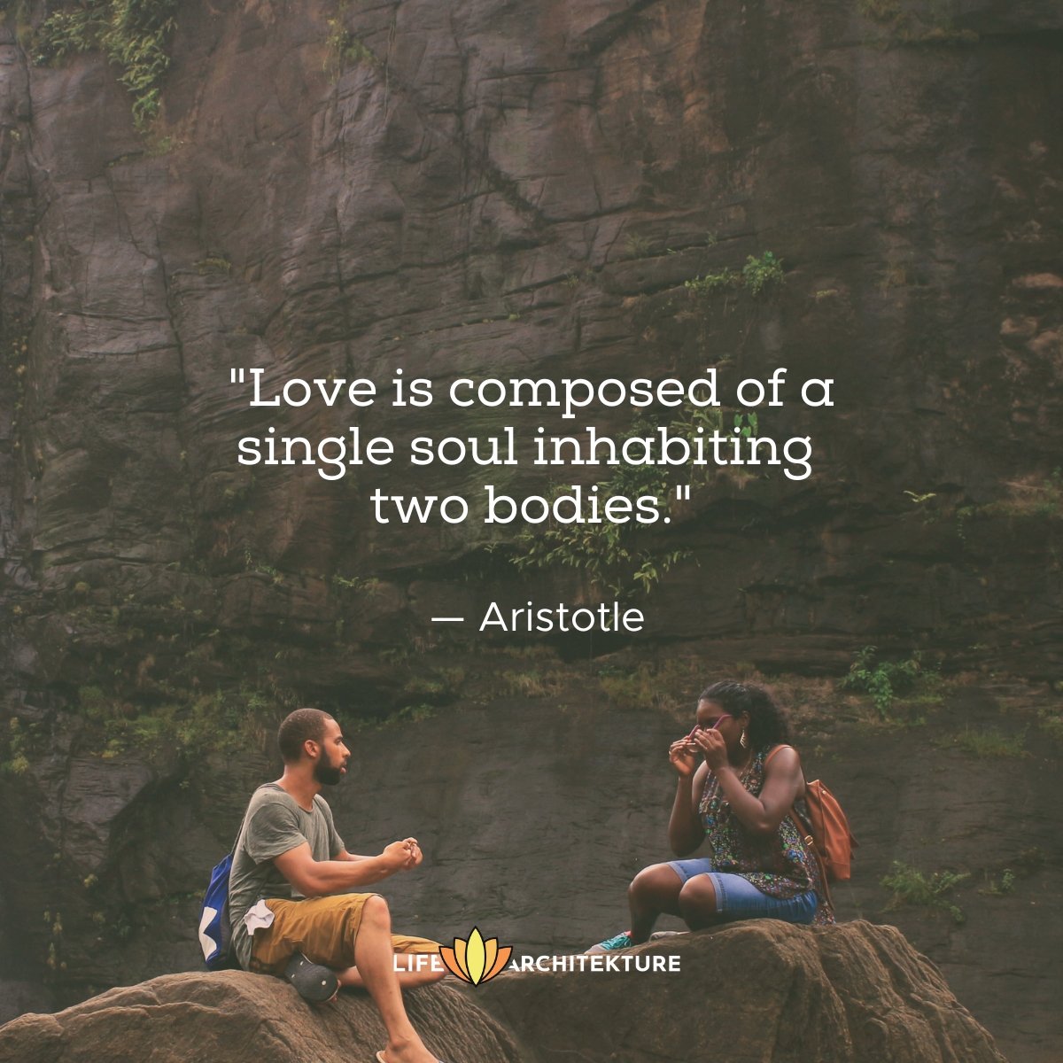 Love is composed of a single soul inhabiting two bodies Aristotle Persistence Quotes