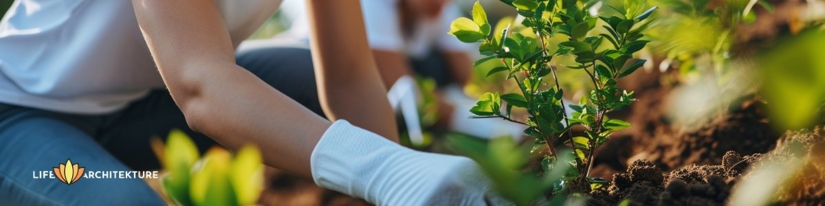 person volunteering, planting trees to save environment