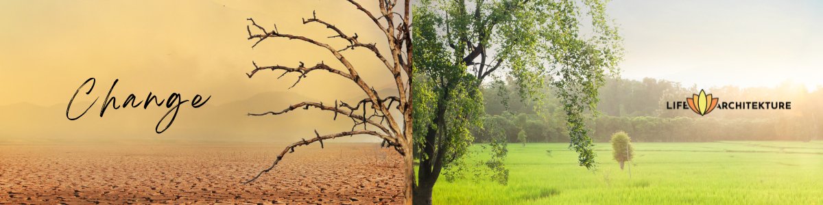 Baum mit doppelter Erscheinung, eine Seite in der trockenen Wüste, die andere grünes Licht mit vielen Blättern