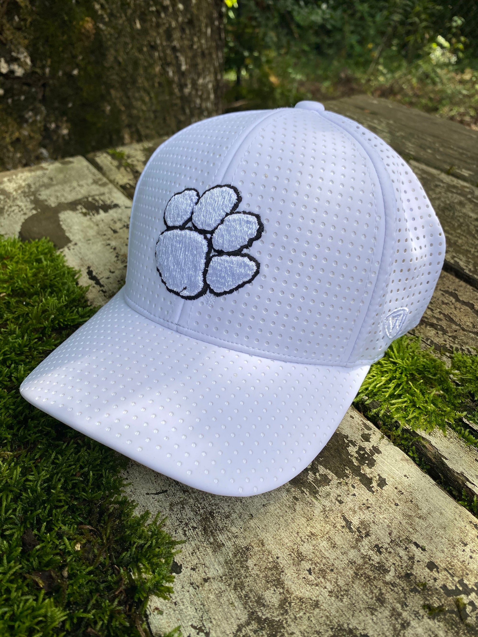 Clemson Vault Vintage Tiger Hat - 365 Gameday