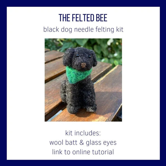 Pnytty Needle Felting Kit, Complete Needle Felting Starter Kit Elephant  with Easy Video Tutorials, Felting Wool, Animal Felting Kits for Beginners  DIY