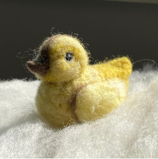 Turkey Needle Felting Kit (Advanced Beginner)