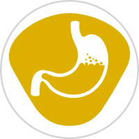 Overall Gut Health