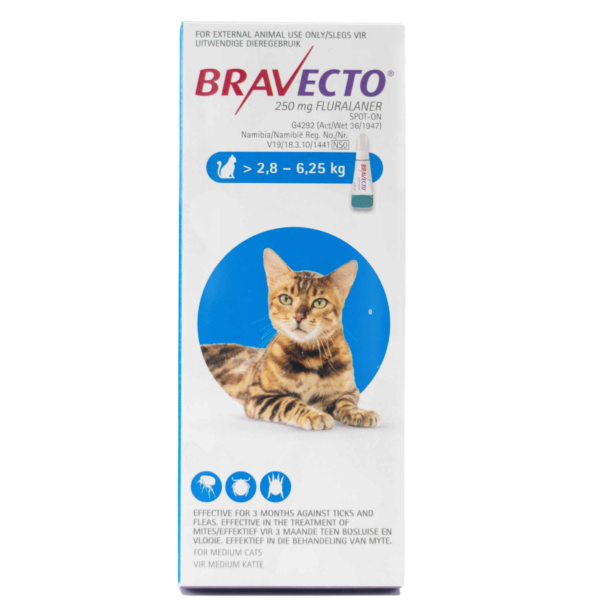 Bravecto Spot Cat- Medium | Pet Plus