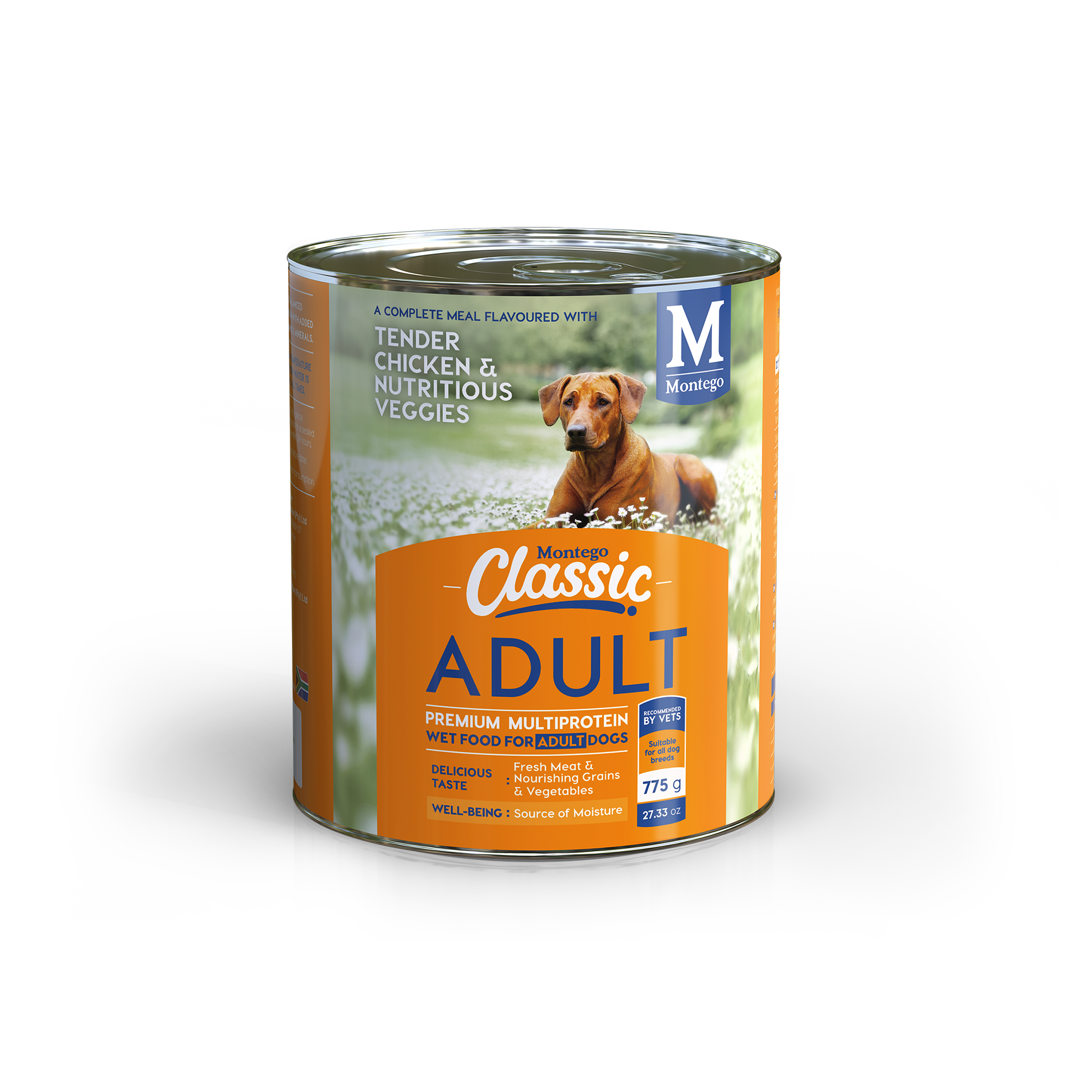 what is a good soft dog food for older dogs