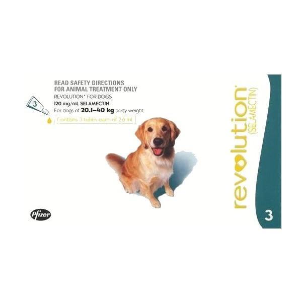 revolution-dog-20-40kg-teal-box-of-3-pet-plus