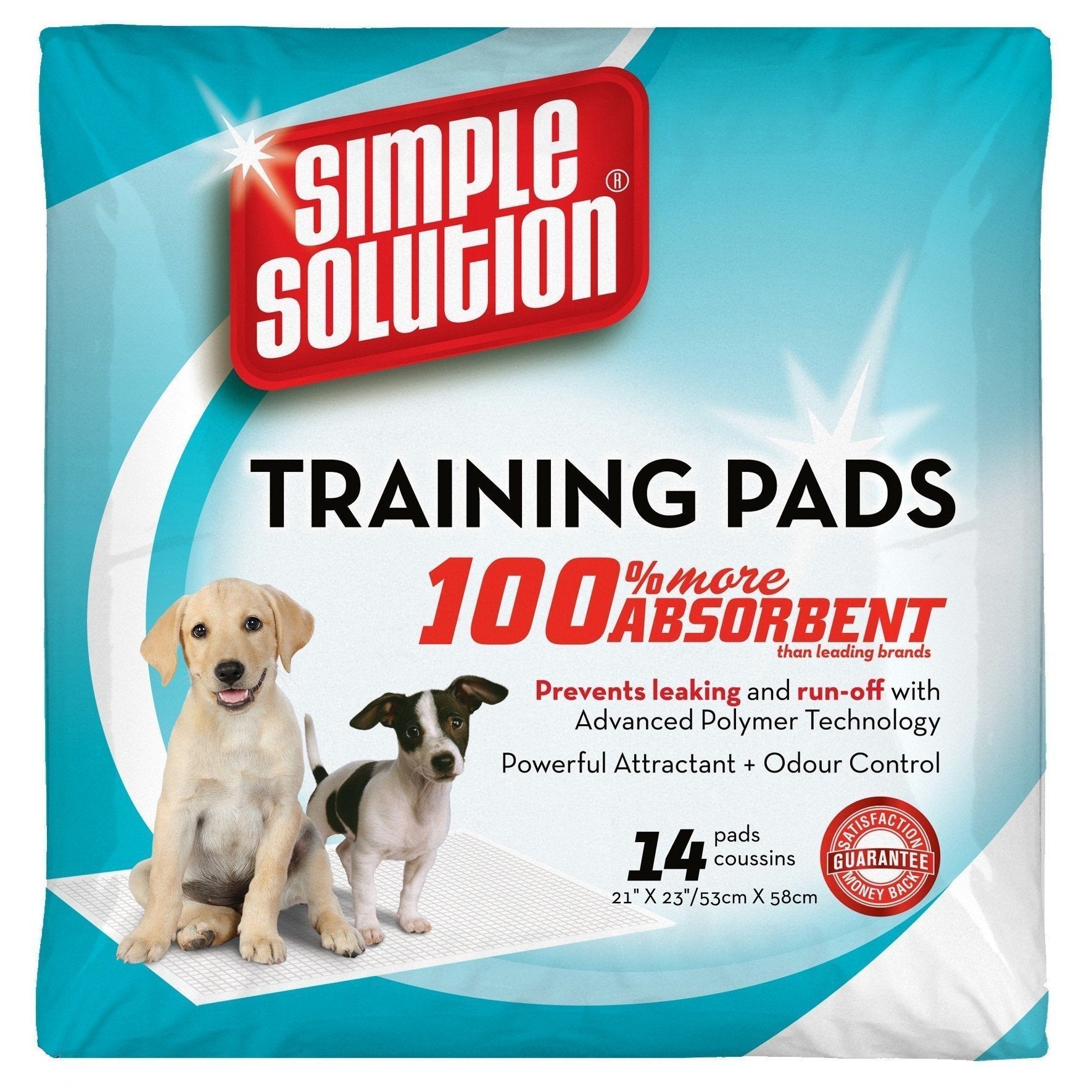 how do you train a dog to poop on a pad