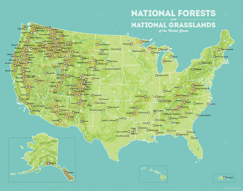 US National Forests Map 11x14 Print Best Maps Ever   0074 USA National Forests Grasslands Map Green Aqua 01 