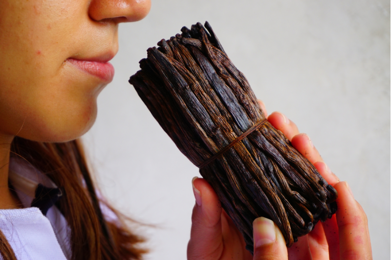 Close up of a girl holding organic vanilla beans in her hands and enjoying its aroma