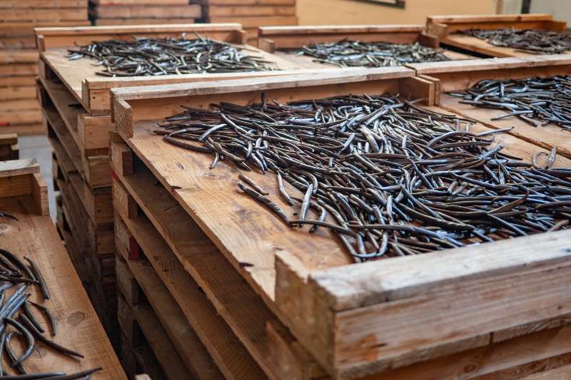 Bourbon vanilla production